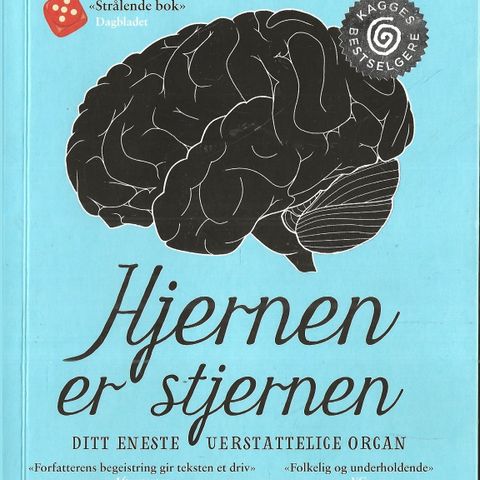 Kaja Norengen: Hjernen er stjernen, ditt eneste uerstattelige organ