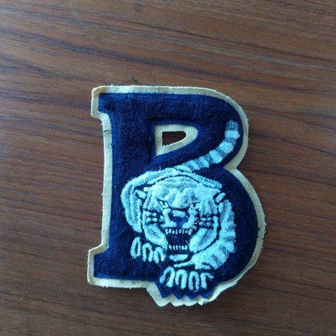 Barbourville tigers patch