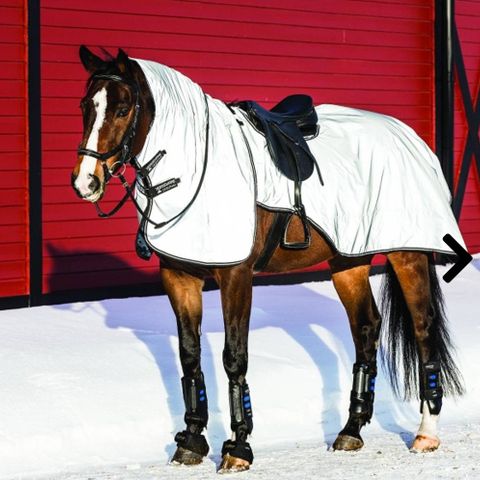 Horseware Rambo Night rider refleks ridedekken selges