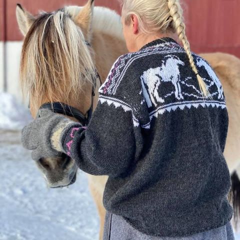 Rålekker strikket ullgenser med fjordingmotiv selges