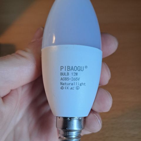 Natural light bulb