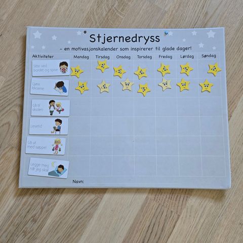 Stjernedryss motivasjonskalender