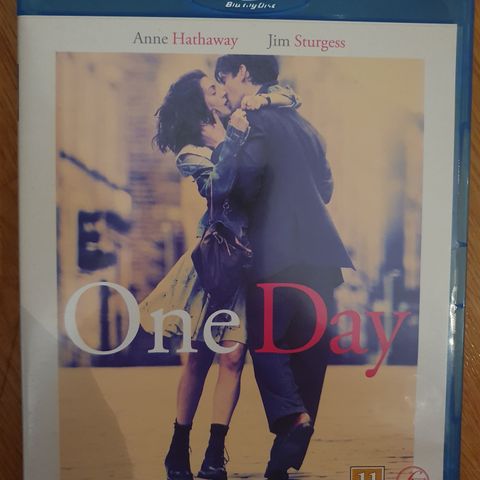 ONE DAY (2011)