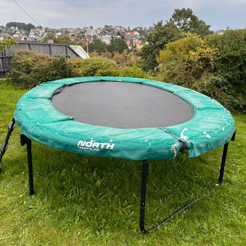 Trampoline