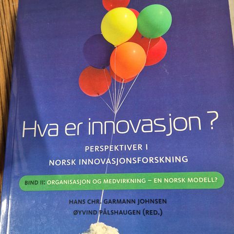 Hva er innovasjon? Perspektiver i norsk innovasjonsforskning