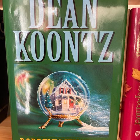 Dobbeltgjengeren av Dean Koontz