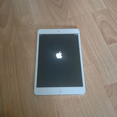 iPad Mini 1