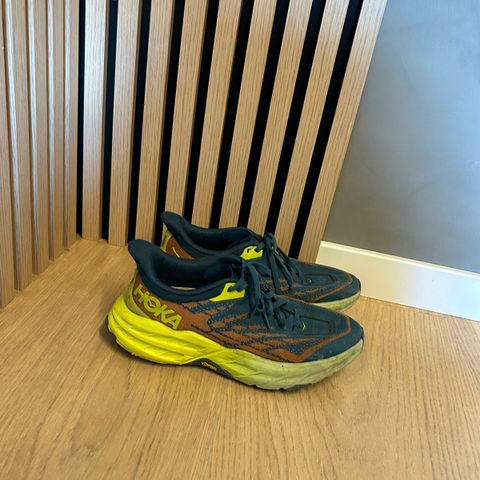 Hoka speedgoat