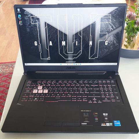 ASUS TUF GAMING F17