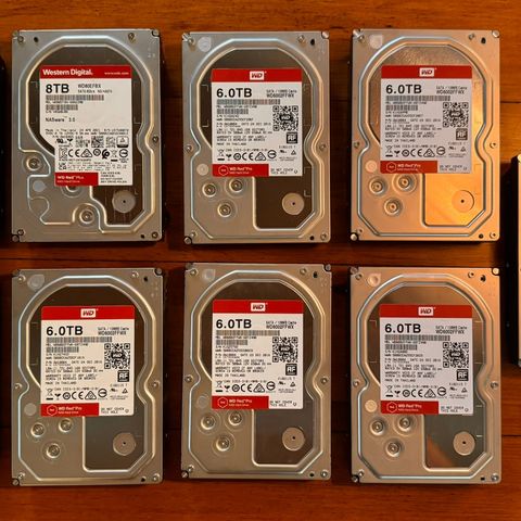 WD Red Plus NAS harddisker