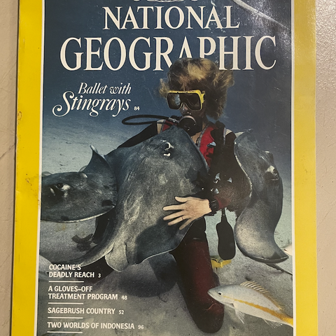 NATIONAL GEOGRAPHIC BLAD SAMLING  fra og med 1975 gjennom 2000