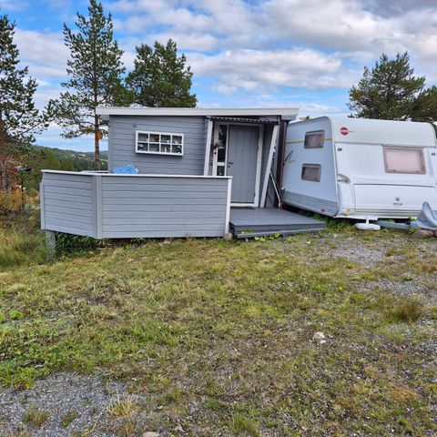 Spikertelt tilsalgs på Ellingsgården i Orkland