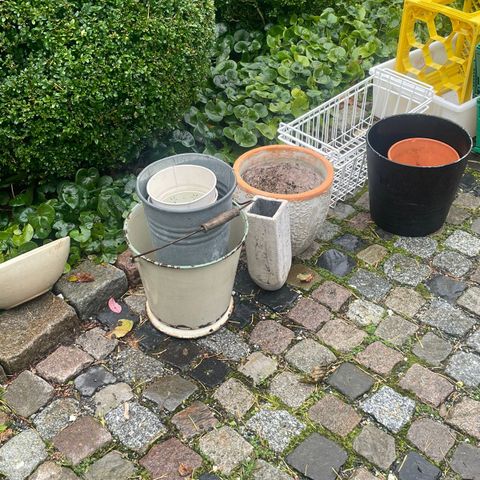 Div blomsterpotter kr 50 pr stk