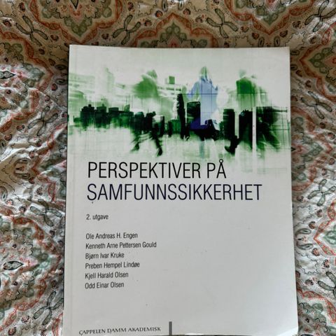 Perspektiver på samfunnssikkerhet