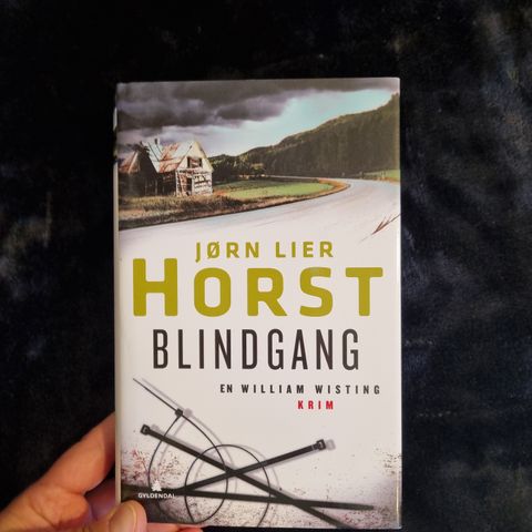 Blindgang av Jørn Lier Horst. Innbundet!