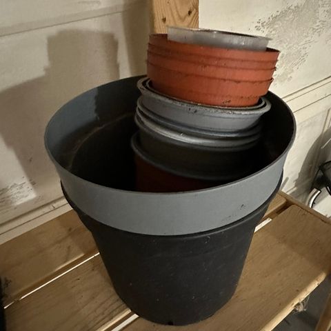 Plastpotter og blomsterpotter