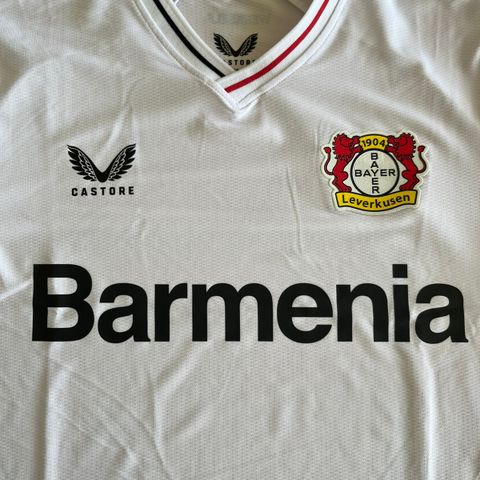 Bayer Leverkusen