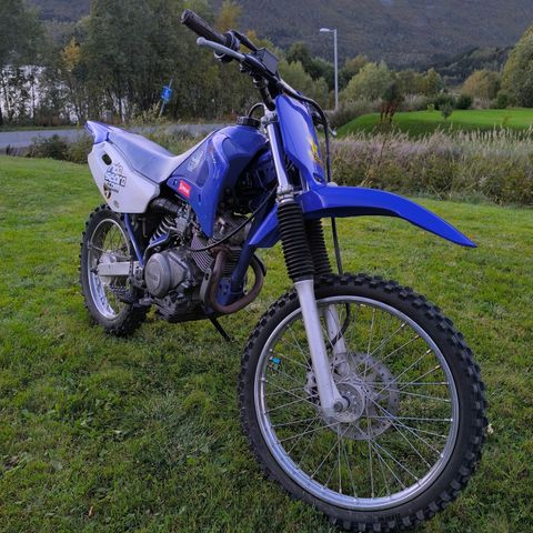 Yamaha ttr 125