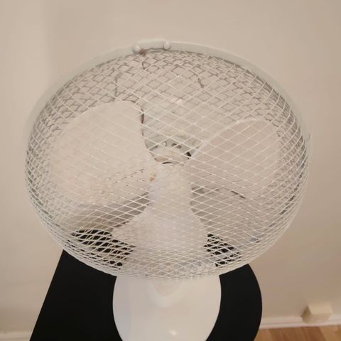 Small Table Fan