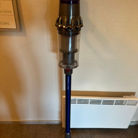 Dyson v11 absolutte