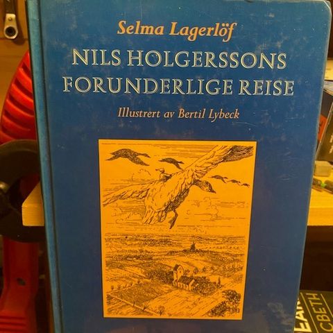 Selma Lagerløf - Nils Holgerssons forunderlige reise