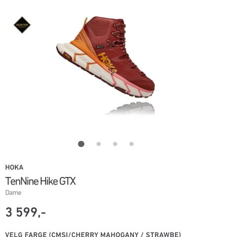 Hoka TenNine Hike GTX damesko