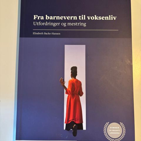 Fra barnevern til voksenliv