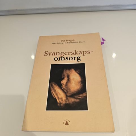 Svangerskapsomsorg. Janecke Thesen m.fl