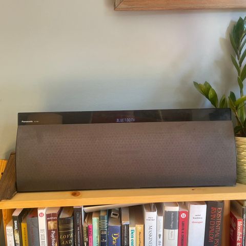 Panasonic SC-NE1 høyttaler - Bluetooth / AUX