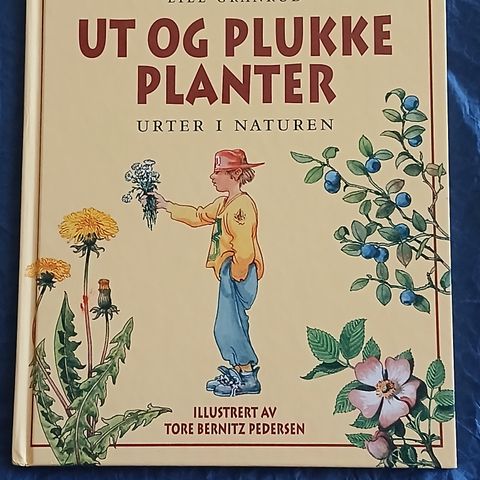 Ut og plukke planter: urter i naturen