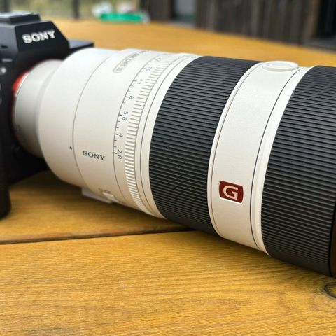 Sony A7RV and Sony 70-200mm F2.8 GM2 lens