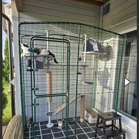 Ønskes kjøpe Omlet catio / CAT ENCLOSURES / CAT BALCONY ENCLOSURE / kattegård