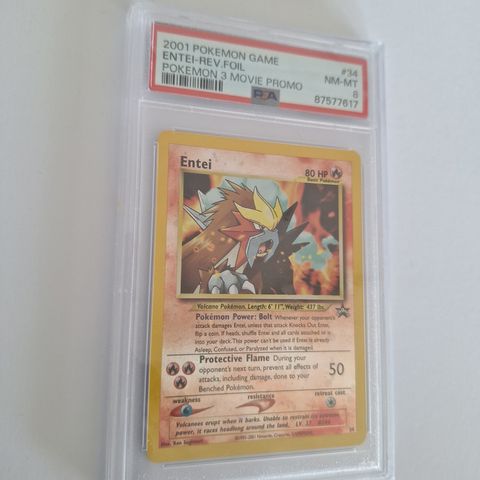 2001 Pokemon Entei