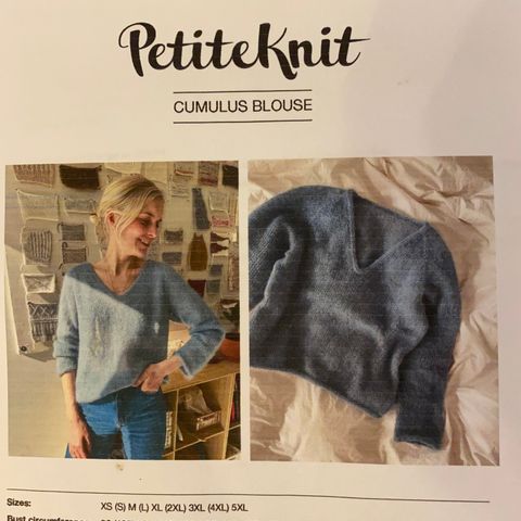 Strikkegenser ( Cumulus blouse) fra petite knit