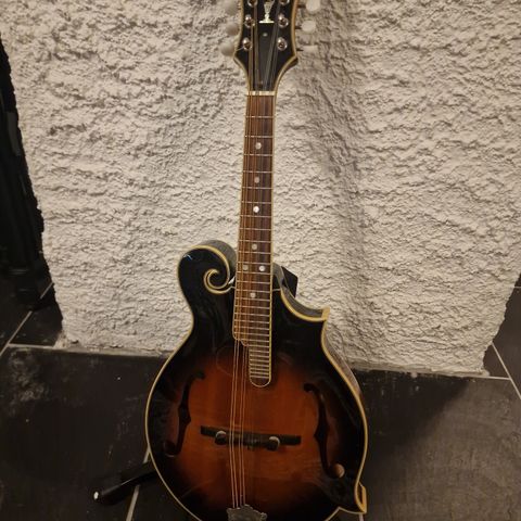 The Epiphone Mandolin MM-50VS