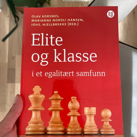 Elite og klasse i er egalitært samfunn