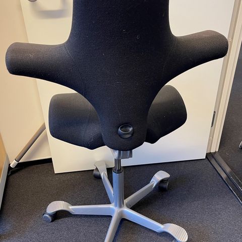 Ergonomisk Kontorstol