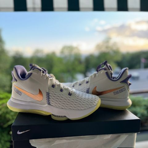 Nike LeBron Basketball sko