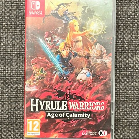 Hyrule Warriors Age of Calamity