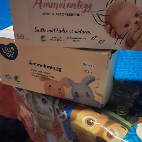 Ammeinlegg