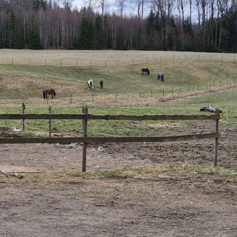 Ledig på utegang I vestby