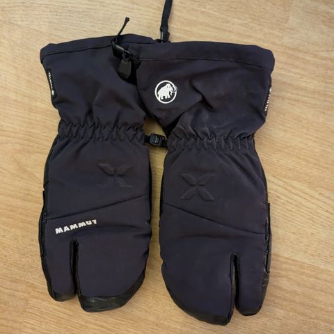 Mammut Eigerjoch Pro vott / hanske str M