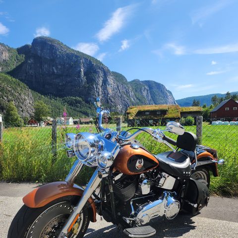 Harley Davidson softail floorboards