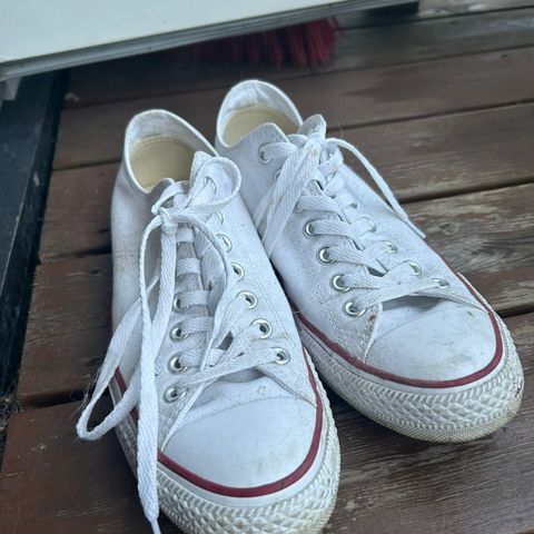 Converse-sko, lave hvite str 42