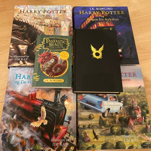 4 Harry Potter i hard bokbind +++