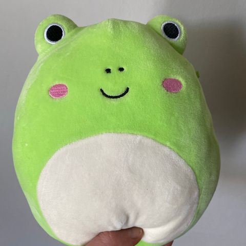 Squishmallow frosk