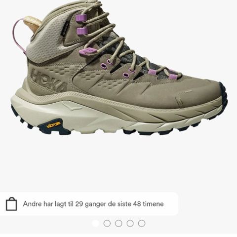 Hoka W KAHA 2 GTX