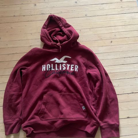 Hollister gener og t-skjorte