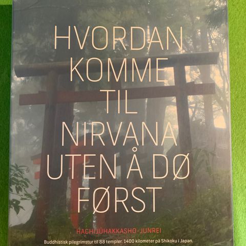 Hvordan komme til Nirvana uten å dø først