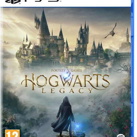 Hogwarts legacy Ps5